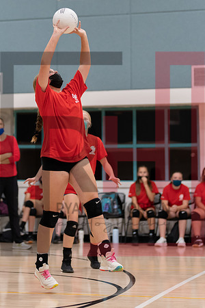 Redwood MS VBall-143
