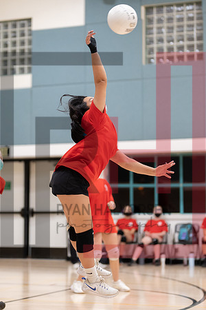 Redwood MS VBall-132