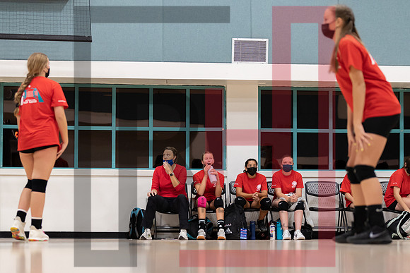 Redwood MS VBall-53