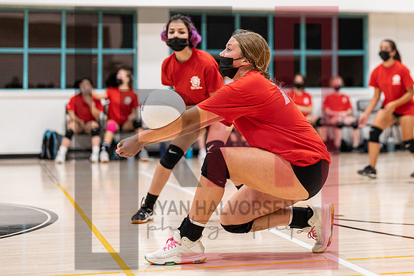Redwood MS VBall-88