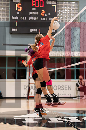 Redwood MS VBall-187