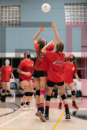Redwood MS VBall-144