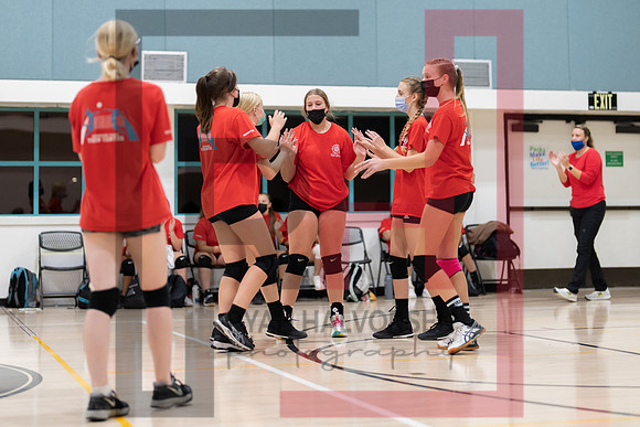 Redwood MS VBall-16
