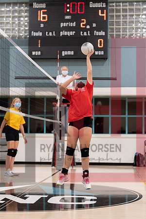 Redwood MS VBall-64