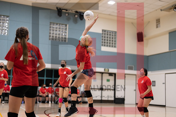 Redwood MS VBall-35