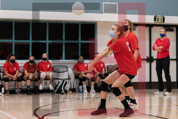 Redwood MS VBall-18