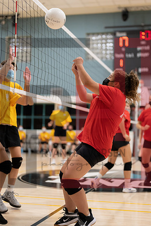 Redwood MS VBall-68