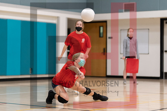 Redwood MS VBall-131