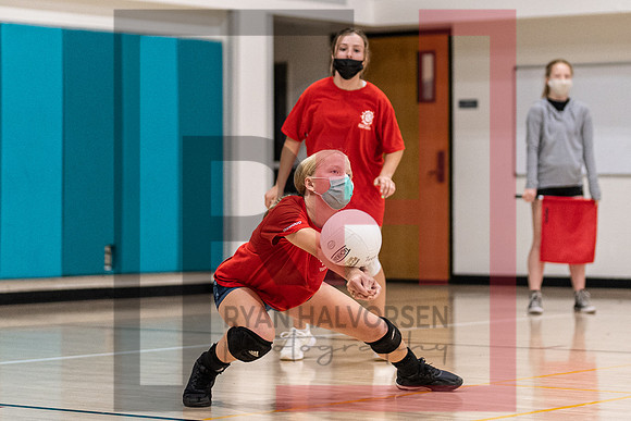 Redwood MS VBall-128