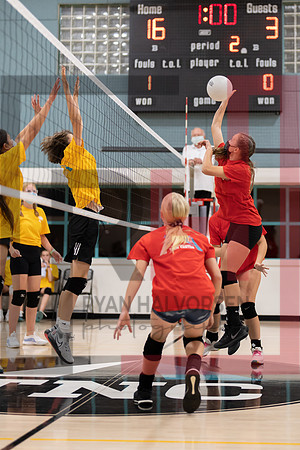 Redwood MS VBall-62