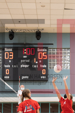 Redwood MS VBall-12