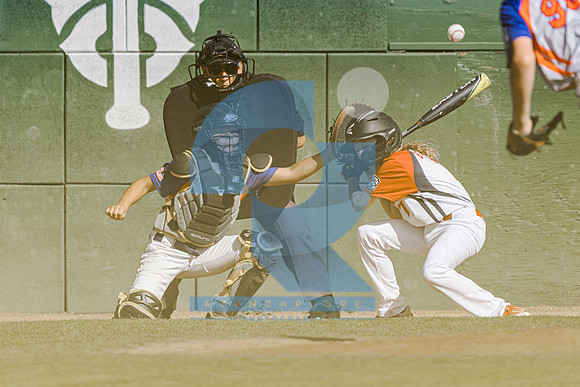 RyanCapture (113 of 517)