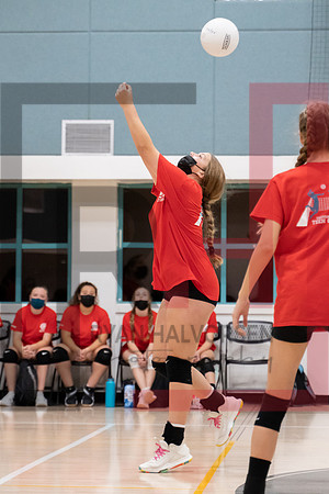 Redwood MS VBall-102