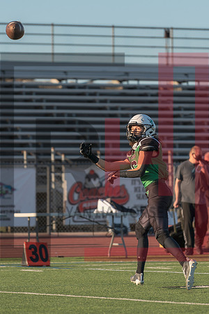 _RJH2013