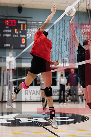 Redwood MS VBall-119