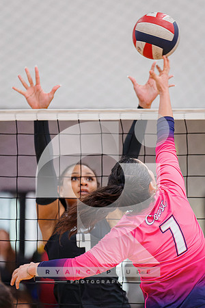 RJH03797-ARW_DxO_DeepPRIME