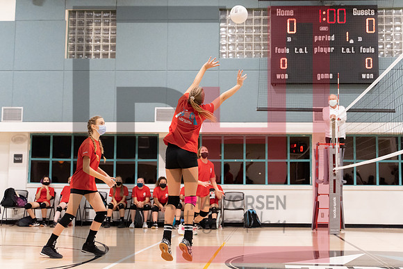 Redwood MS VBall-96