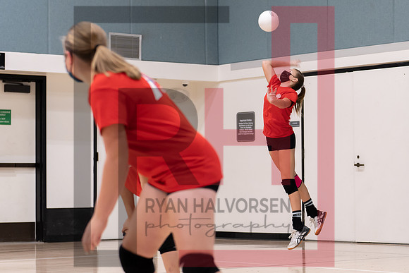 Redwood MS VBall-25