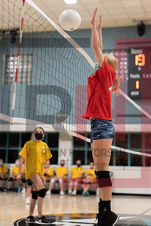 Redwood MS VBall-70