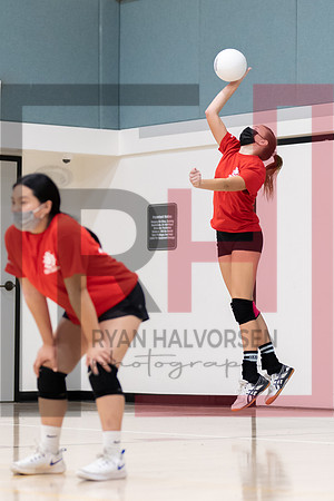 Redwood MS VBall-4