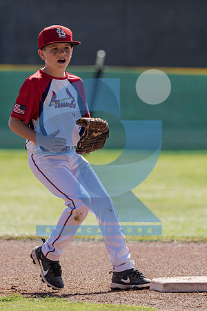 RyanCapture (143 of 517)