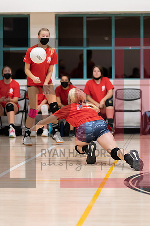 Redwood MS VBall-177