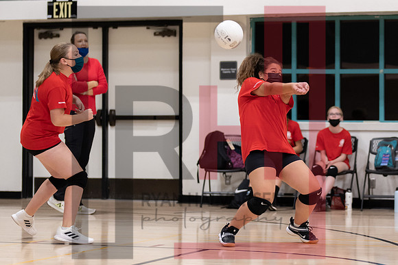 Redwood MS VBall-185
