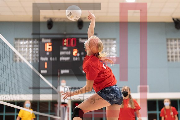 Redwood MS VBall-58