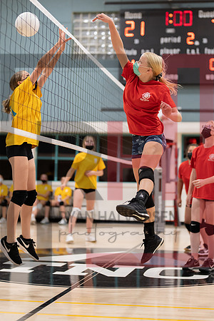 Redwood MS VBall-82