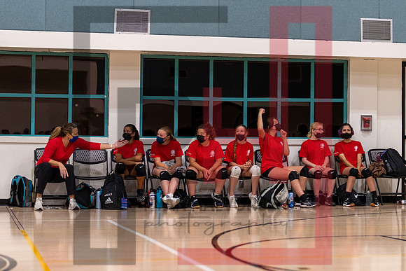 Redwood MS VBall-46