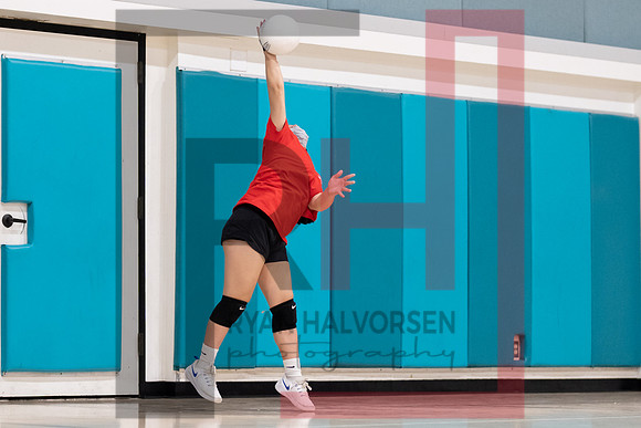 Redwood MS VBall-120