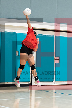 Redwood MS VBall-170