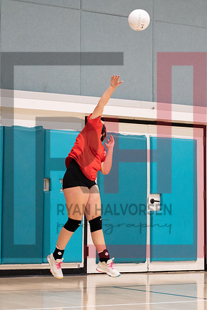 Redwood MS VBall-105