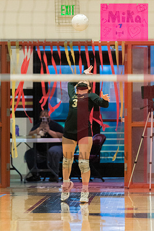 _RJH4595