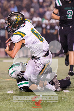 RJH00561-ARW_DxO_DeepPRIME