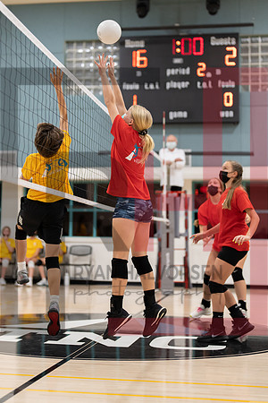 Redwood MS VBall-55