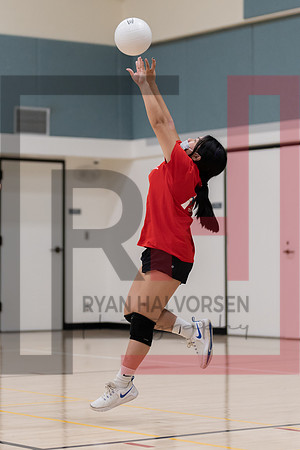 Redwood MS VBall-37