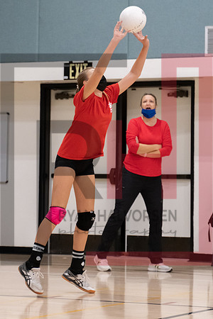 Redwood MS VBall-109