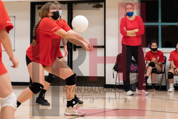Redwood MS VBall-114