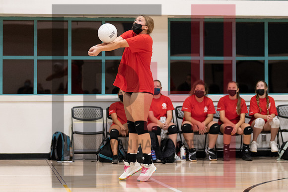 Redwood MS VBall-9