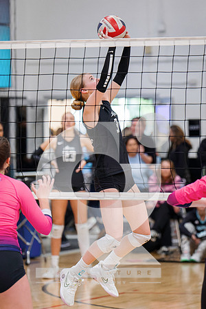 RJH03625-ARW_DxO_DeepPRIME-2