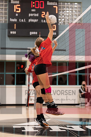 Redwood MS VBall-186