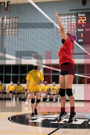 Redwood MS VBall-84