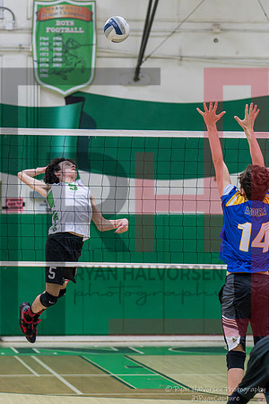 TOHS v Agoura VBall 6721