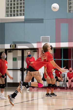 Redwood MS VBall-101
