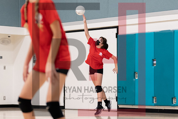 Redwood MS VBall-21