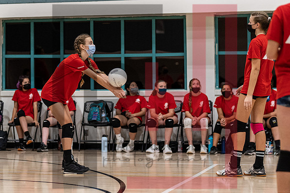 Redwood MS VBall-174