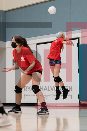 Redwood MS VBall-28