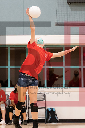 Redwood MS VBall-104