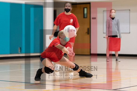 Redwood MS VBall-129